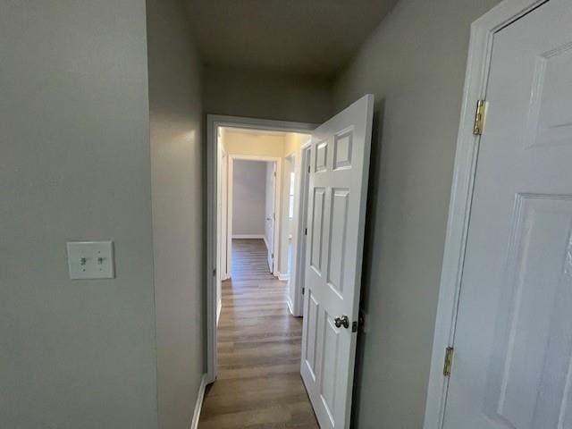 Building Photo - 6341 Ripple Springs Dr