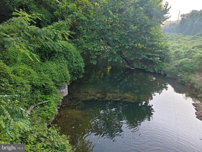 Building Photo - 6513 Old Dominion Dr