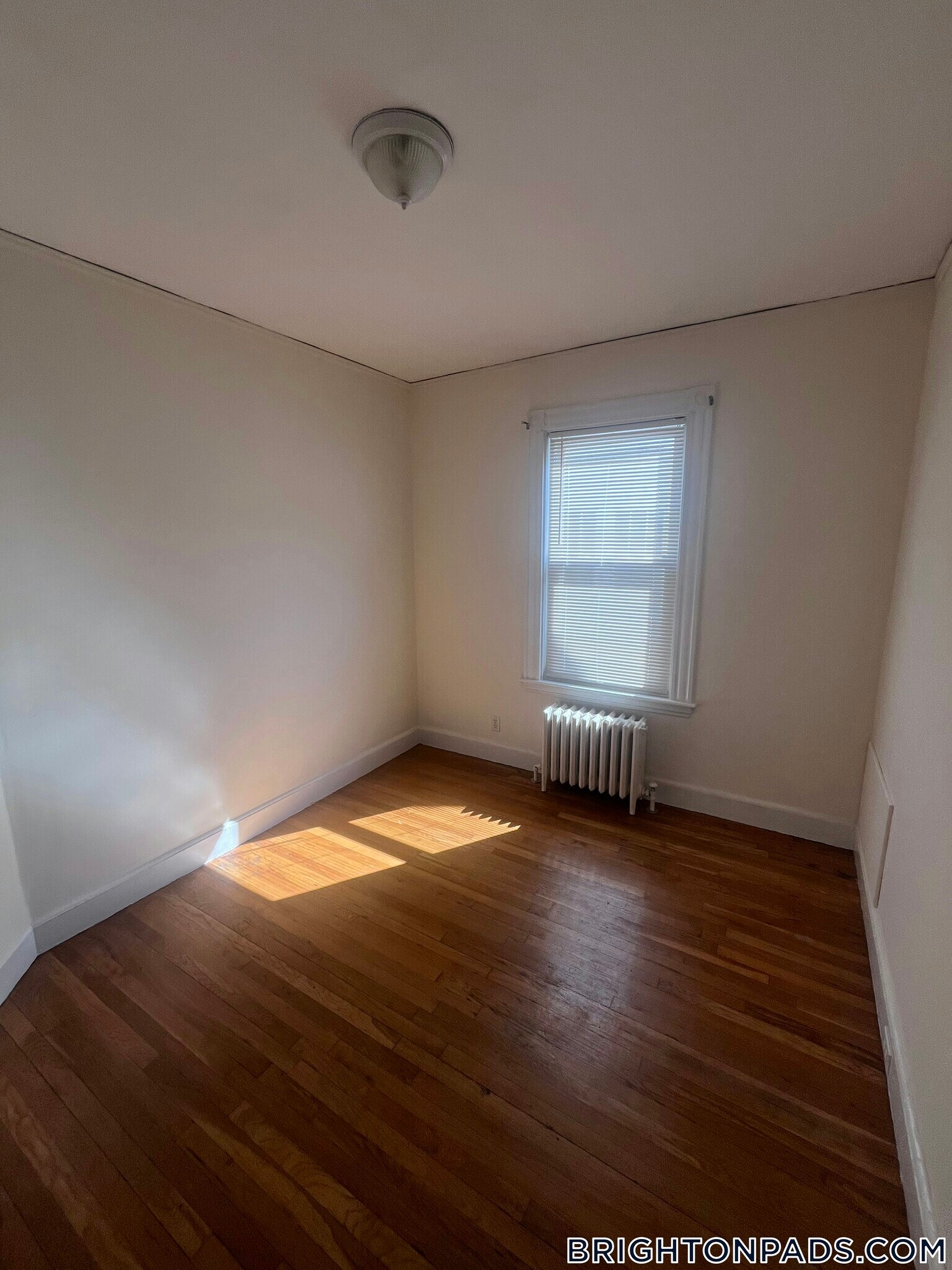 Building Photo - 75 Elmira St
