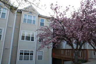 Building Photo - Charming 2 Bedroom/1 Bathroom Condo in Hal...