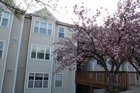Building Photo - Charming 2 Bedroom/1 Bathroom Condo in Halethorpe, MD!