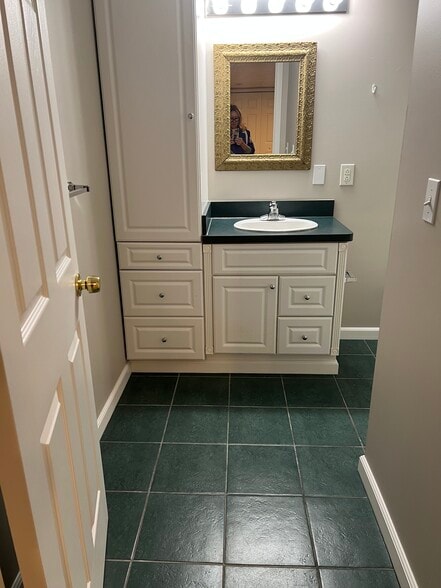 Basement bath - 36447 N Reserve Cir