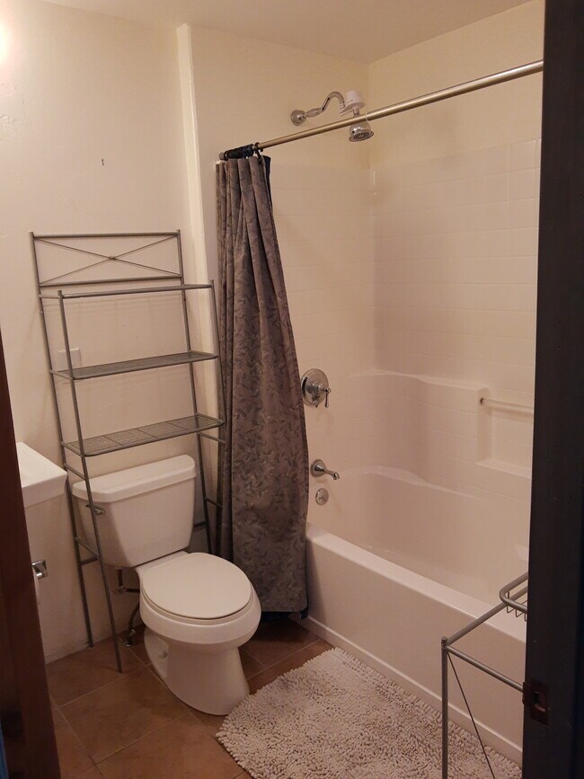 Bath shower - 114 Aldasoro Rd