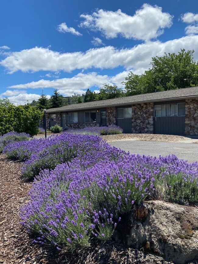 Building Photo - Cozy 2 Bedroom, 1 Bathroom Apartment in The Dalles