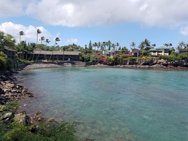 Building Photo - Honokeana Cove