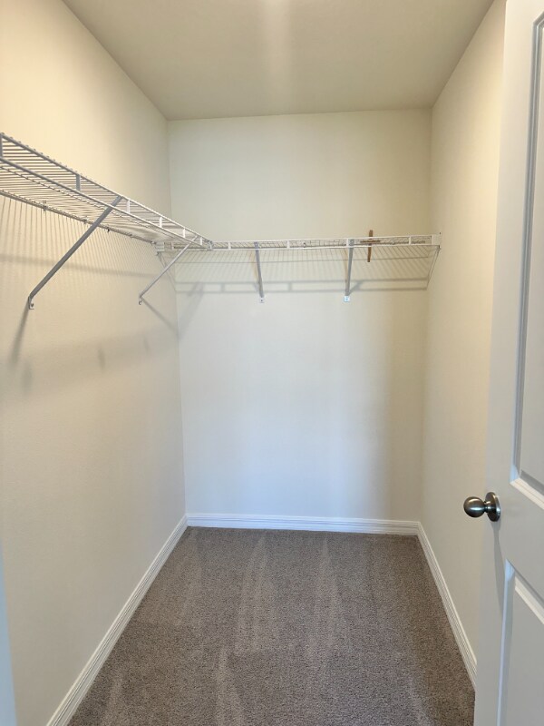 Building Photo - 3259 Rock Sound St
