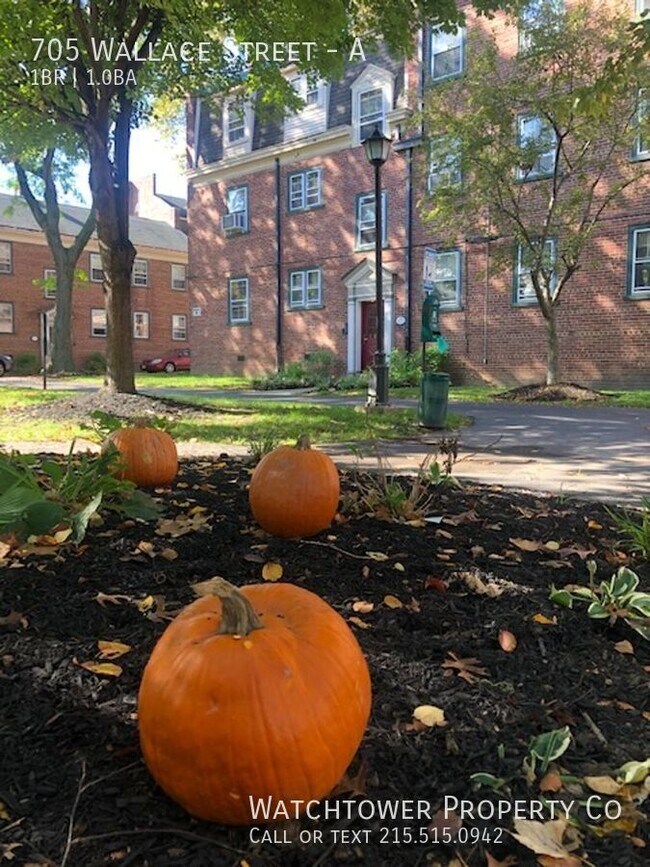 Building Photo - 705 Wallace St