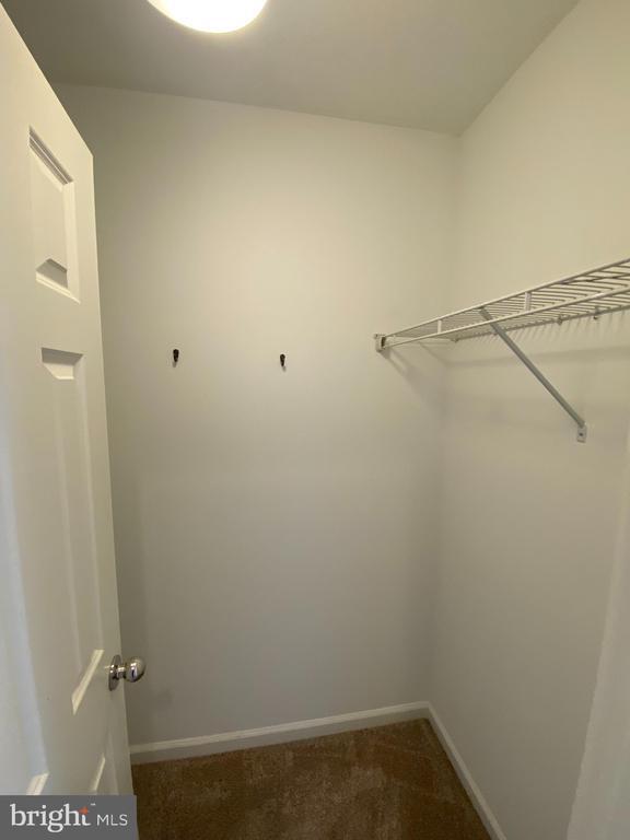 Building Photo - 107 Argyle Ct