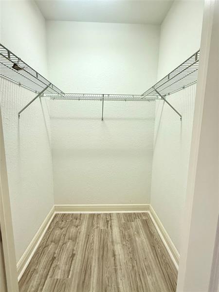 Building Photo - 4804 Sawgrass Breeze Dr