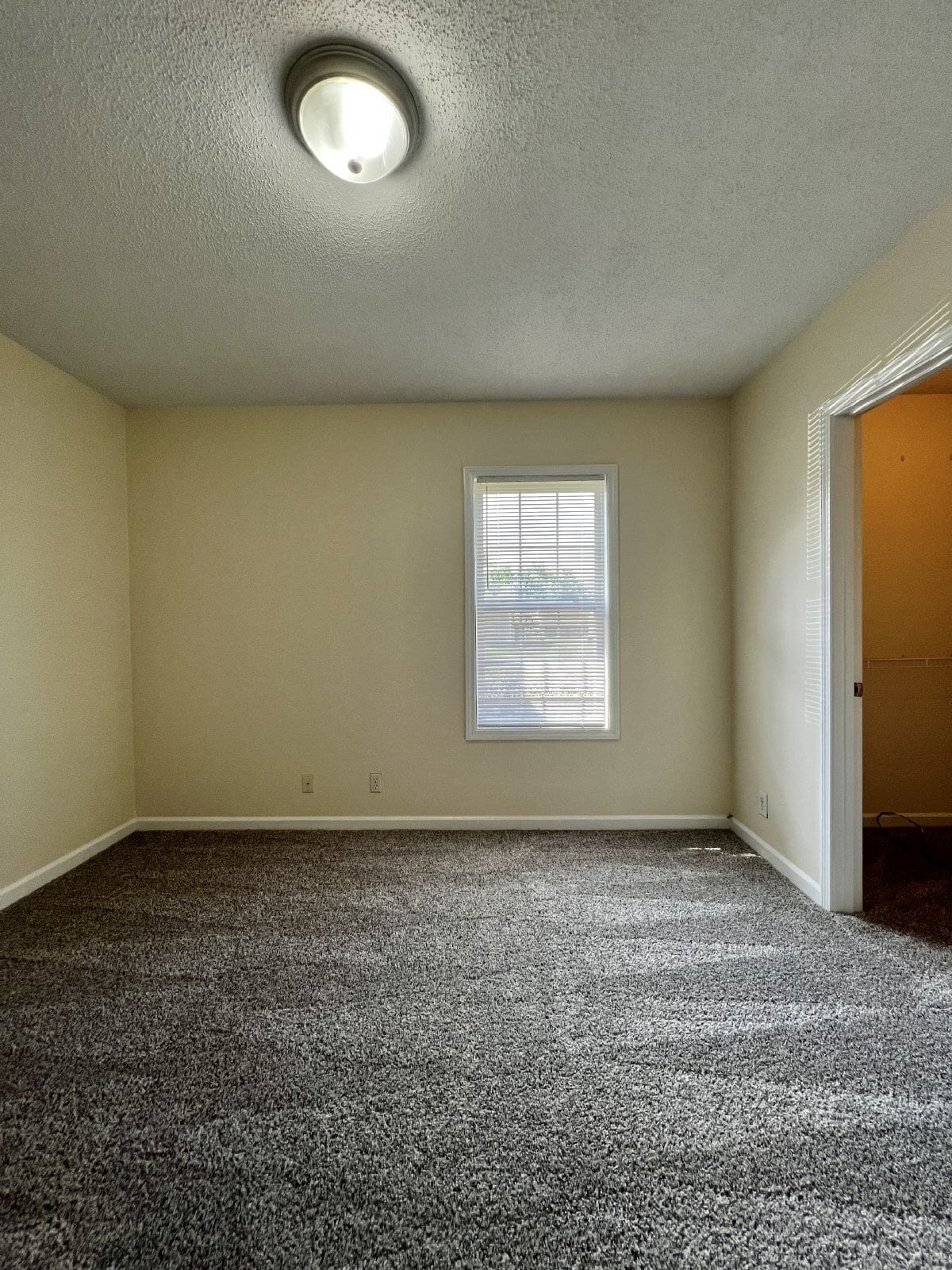 Building Photo - "Charming 2-Bedroom Retreat with 912 Sq Ft of Cozy Living in Oak Grove!"