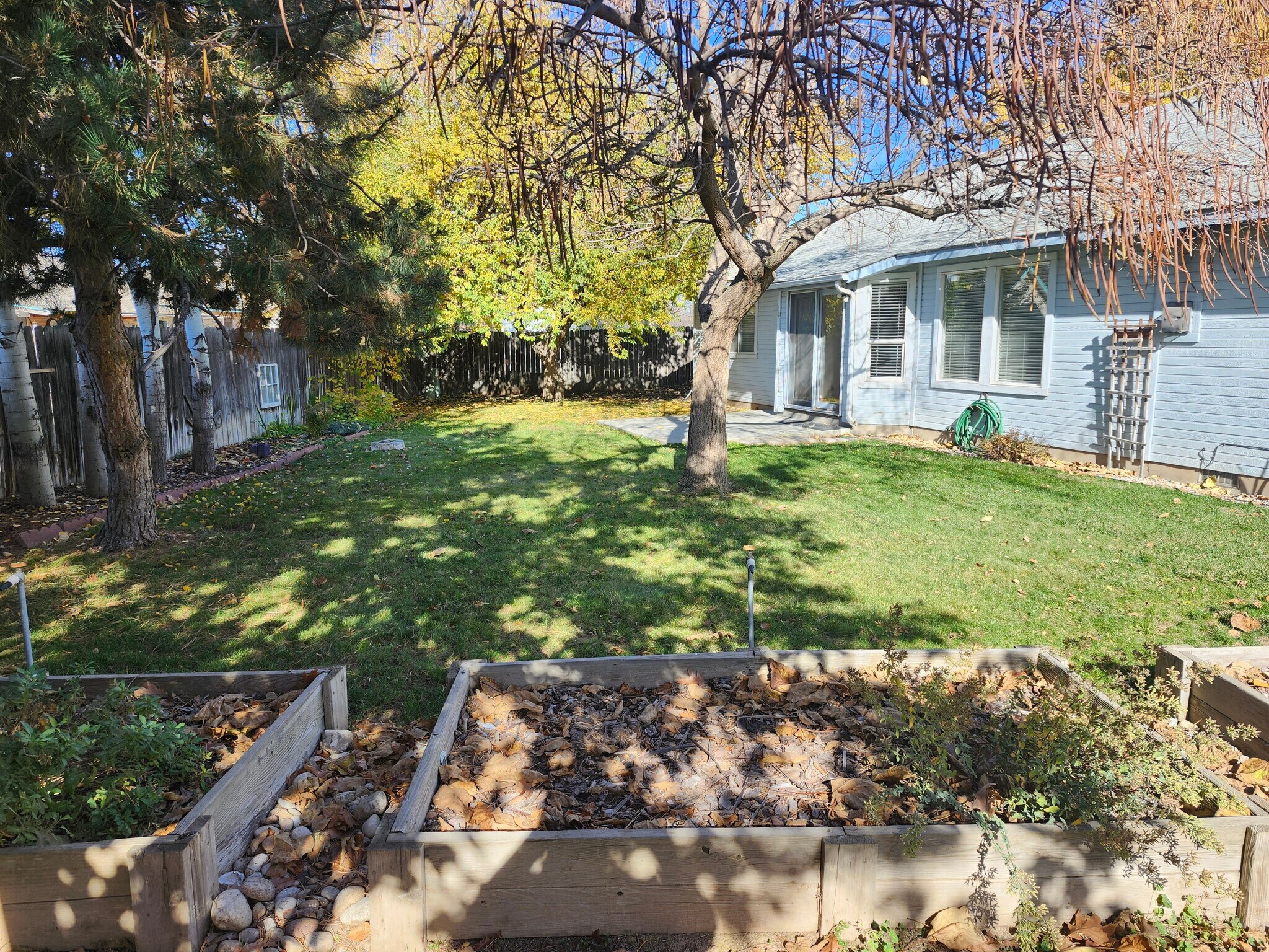 Backyard in late fall - 2027 North Dove Avenue