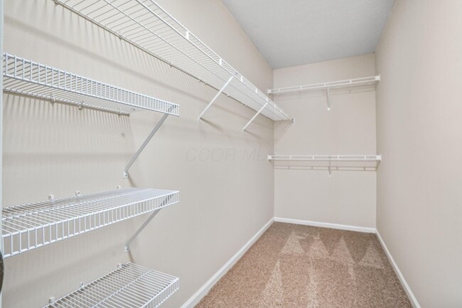 Building Photo - 5027 Stratford Pine Ln