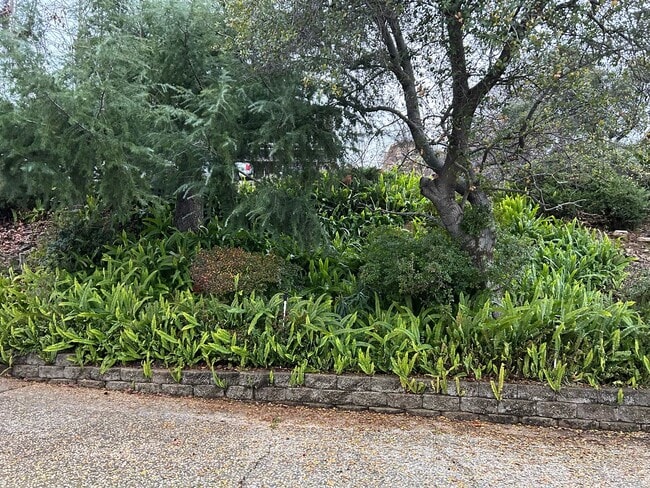 Building Photo - 6367 Woodman Dr