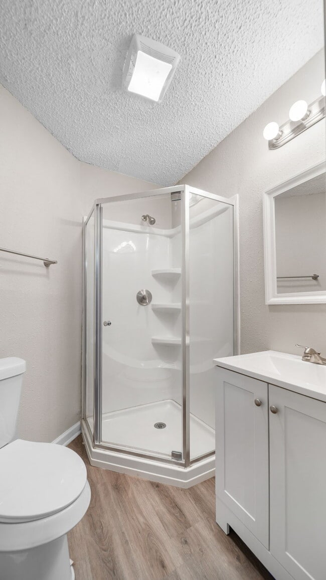 Building Photo - Rural, wooded living in this 4 bedroom, 2 full bath home on just under a quarter of an acre. NEW ...