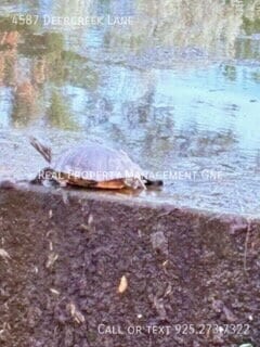 Building Photo - 4587 Deercreek Ln