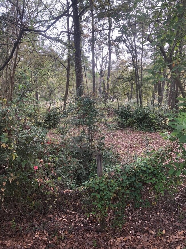 Building Photo - Marsh View Ranch