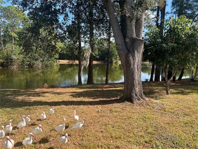 Building Photo - 3721 Pickwick Dr