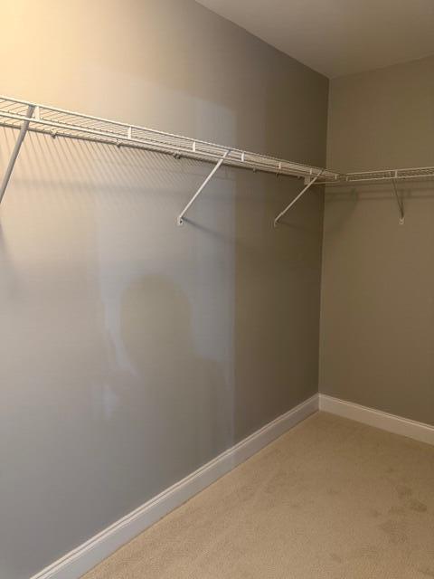 Building Photo - 289 Mattie M Kelly Blvd