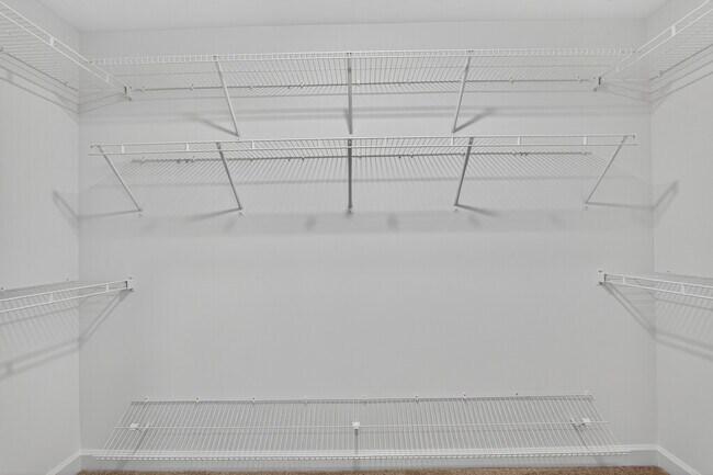 Building Photo - 7232 Paisley Cir