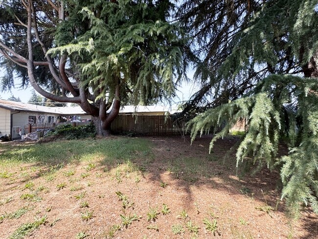 Building Photo - 519 Cinderella Loop