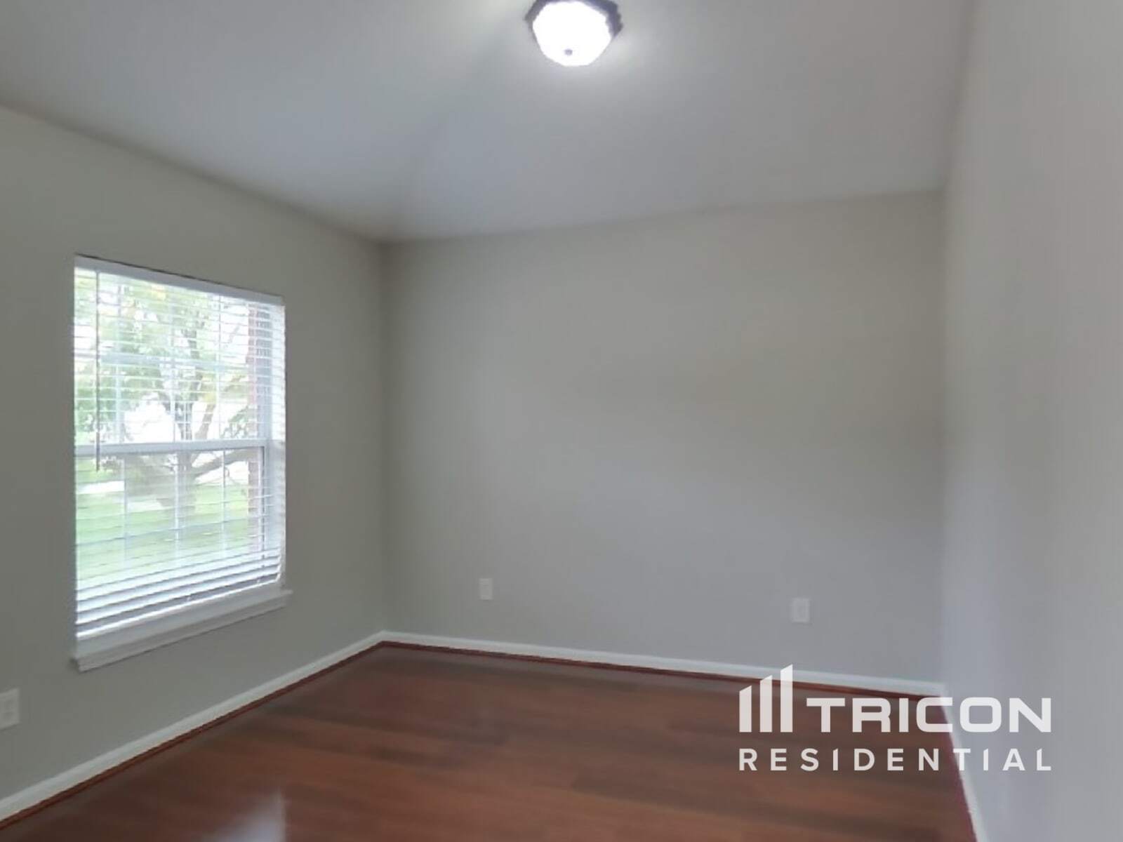 Building Photo - 3582 White Cow Ct