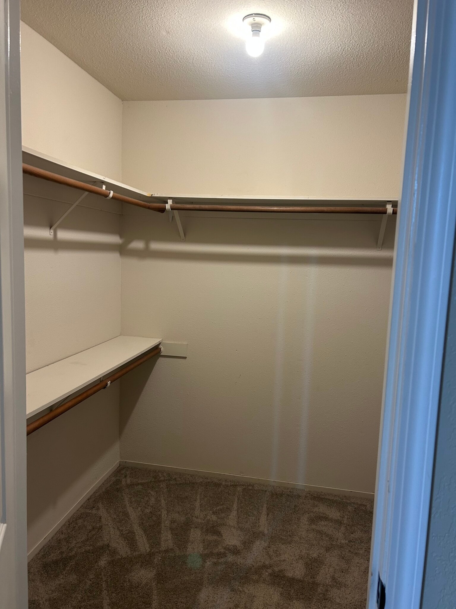 Building Photo - 5200 Roseana Ct