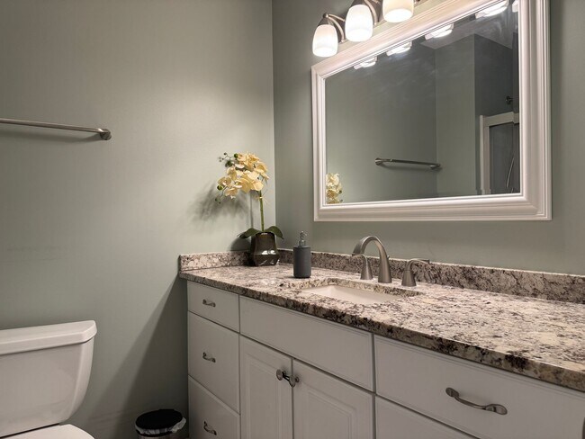 Building Photo - Stunning 4 Bed, 3 Bath Home with Backyard ...