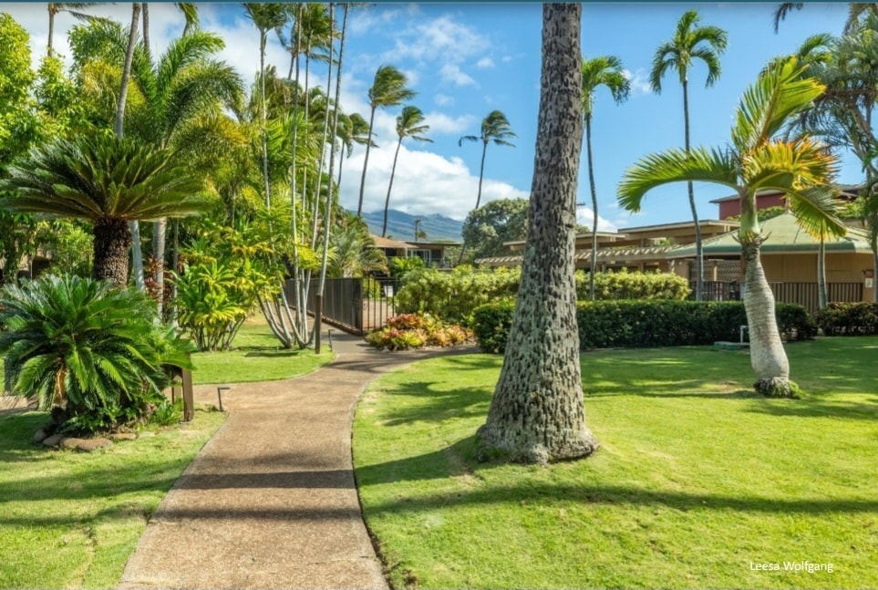 Building Photo - 3559 Lower Honoapiilani Rd