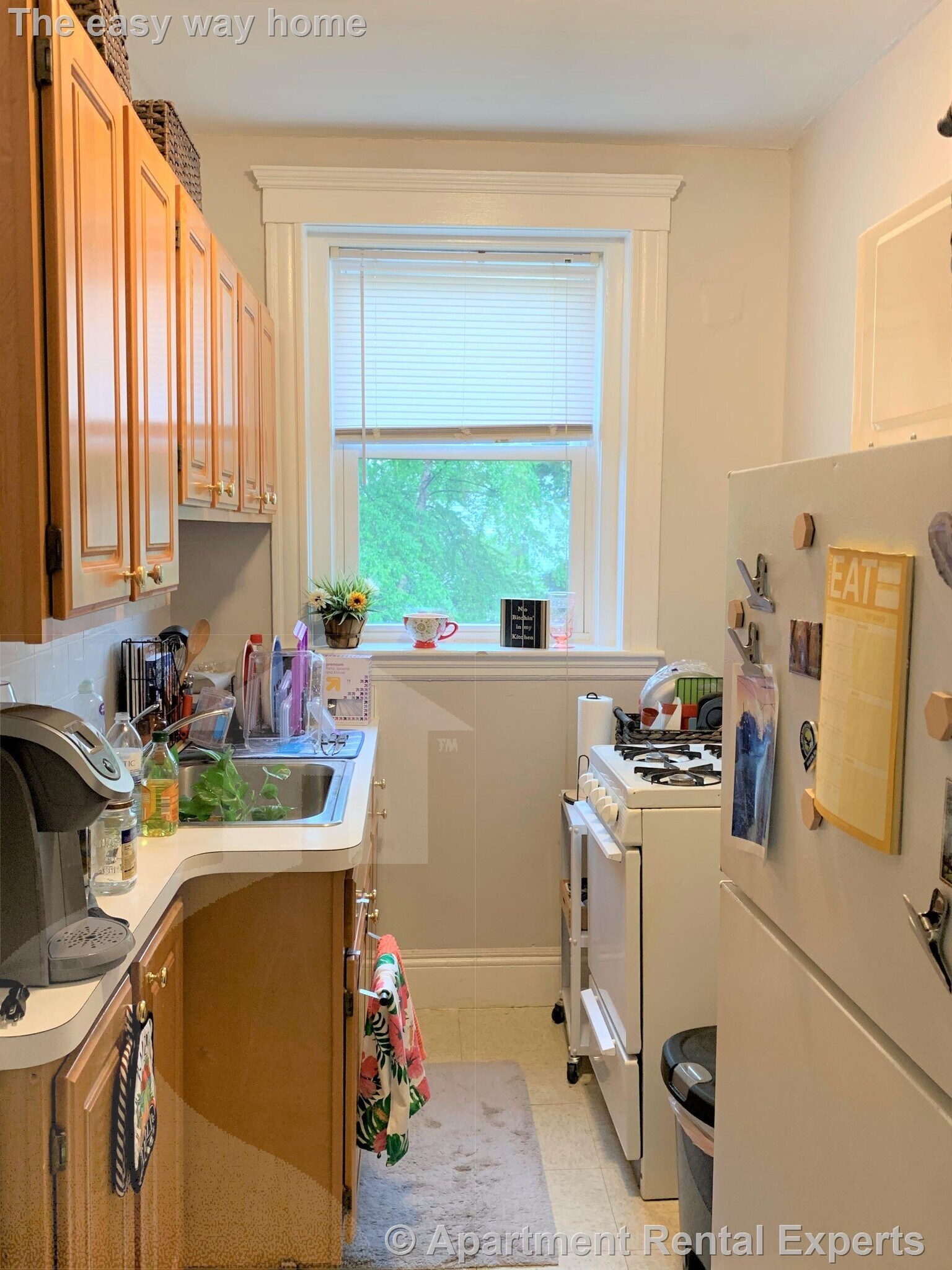 Building Photo - 170 Maple St