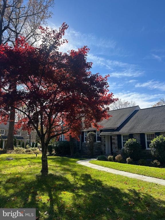 Building Photo - 248 Hilldale Rd