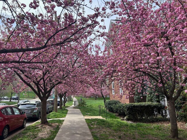 Building Photo - Updated 1BR in Iconic McLean Gardens is the Urban Retreat You've Been Looking For!