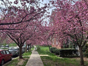 Building Photo - Updated 1BR in Inconic McLean Gardens Available mid-February!