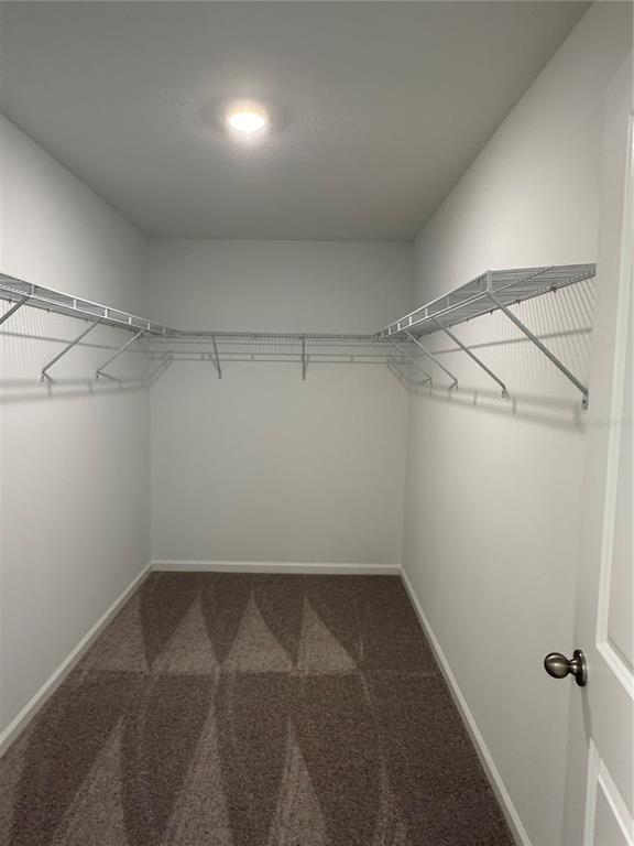 Building Photo - 374 Cadberry Pl