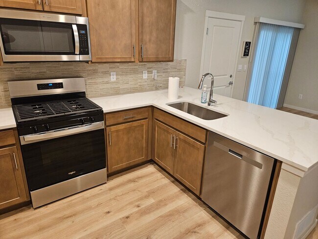 Building Photo - Stunning Brand New Home Close To Lowry & DIA