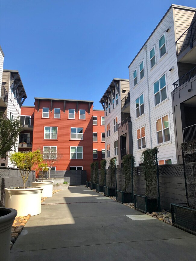 Courtyard - 8200 Oceanview Ter