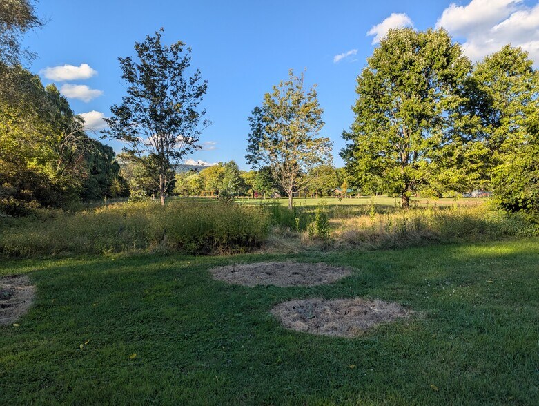 Rear Yard - 323 W Main St