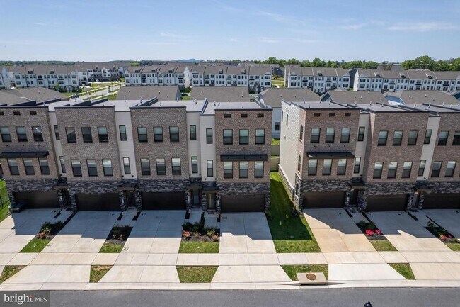Building Photo - 870 Amity St