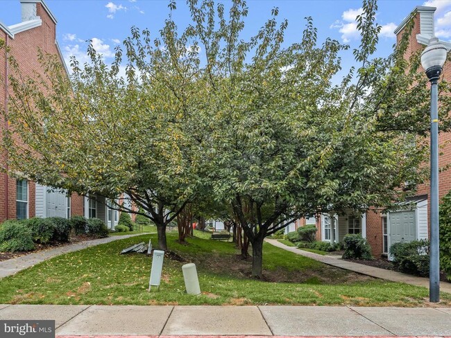 Building Photo - 10713 Symphony Way