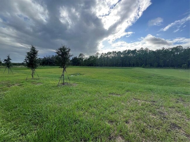 Building Photo - 2655 Angel Fls Dr