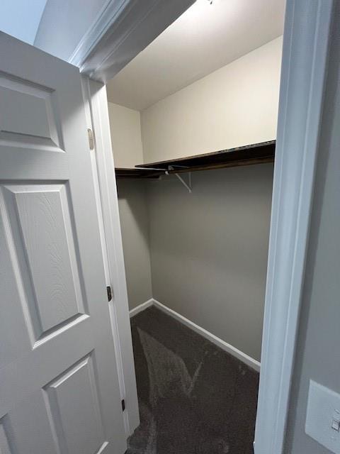 Building Photo - 4008 Browne Ct