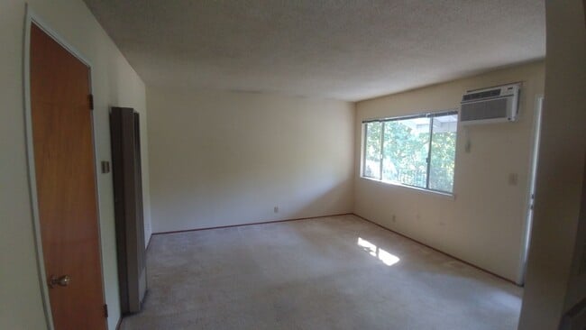 Interior Photo - Racetrack 1
