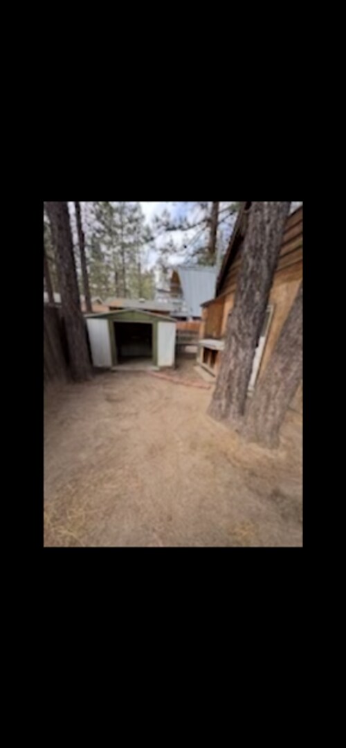 Building Photo - Big bear cabin