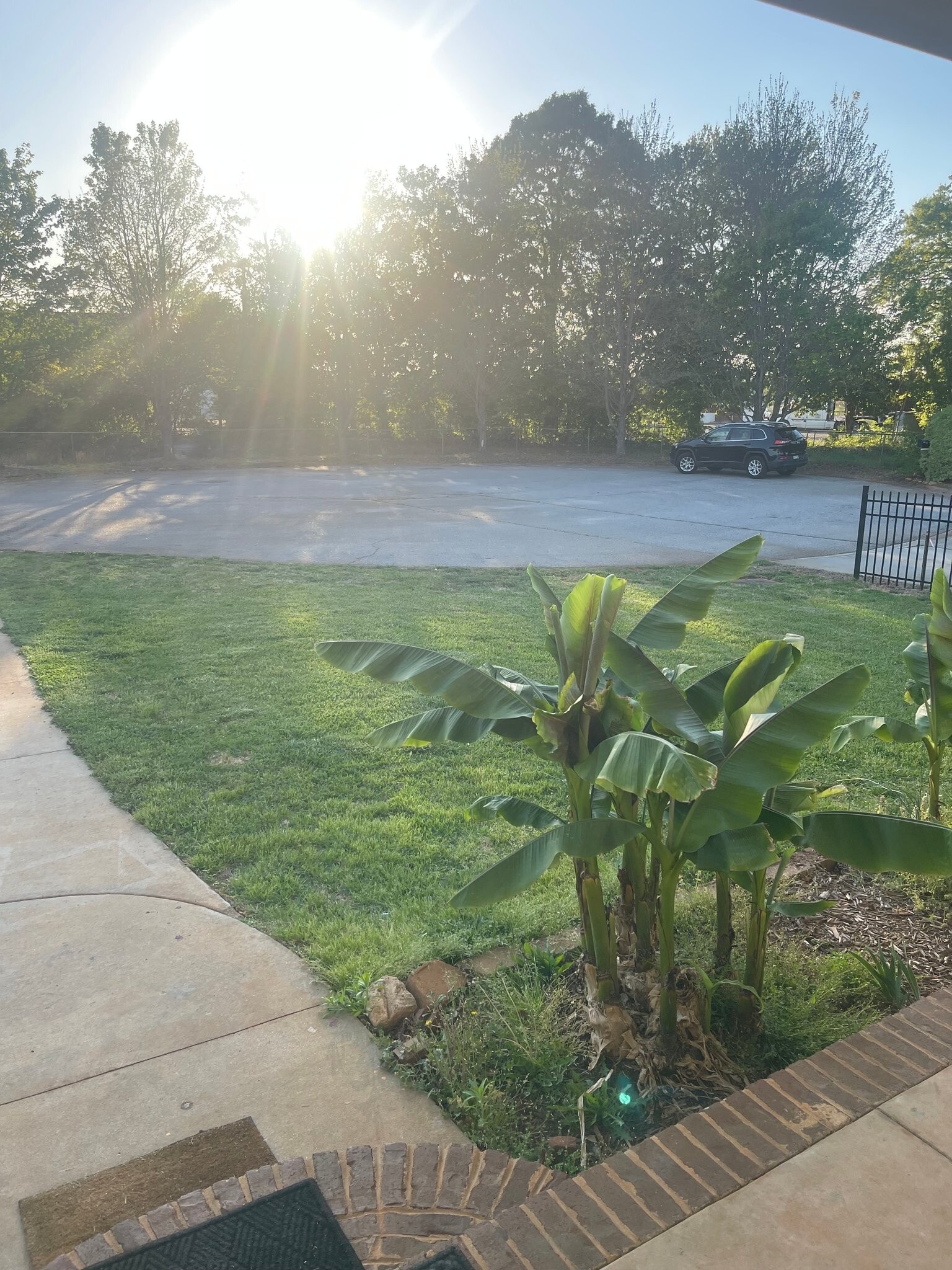 Building Photo - 420 Oconner Ct