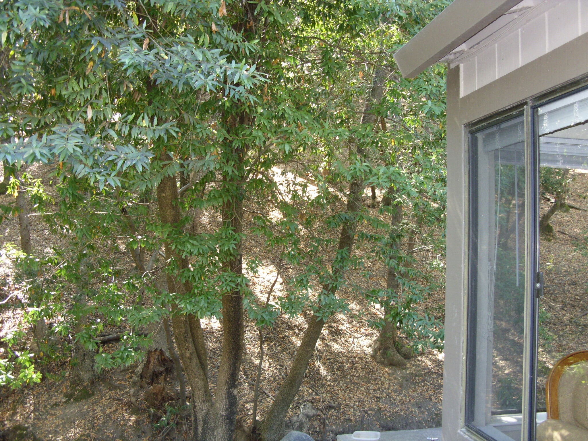 Building Photo - 25 Clay Ct