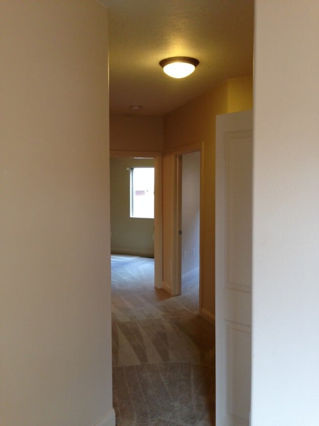 Building Photo - Nice Apartment In Washington