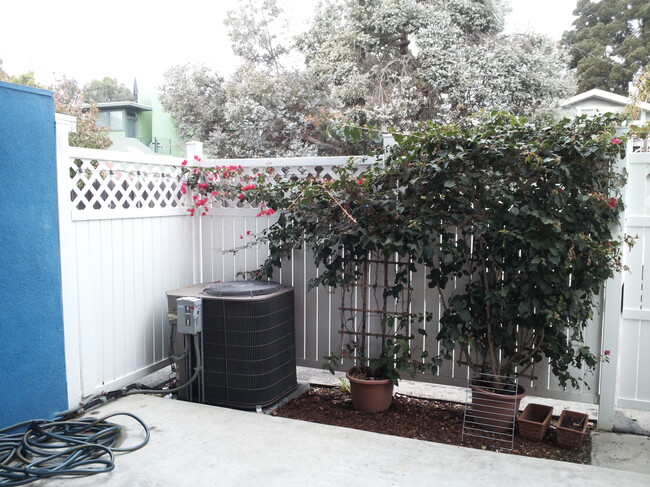 Patio - 2639 6th St