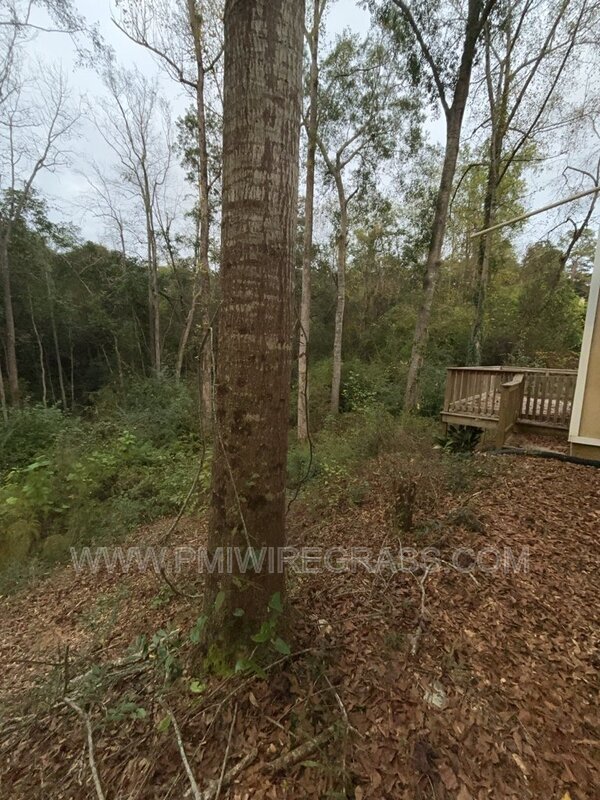 Building Photo - 214 Brookside Ln