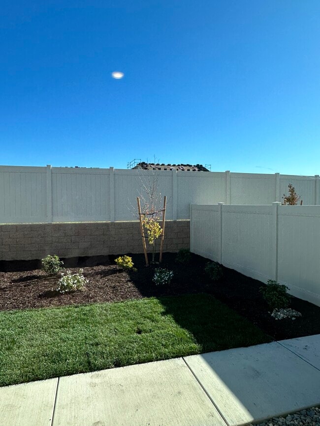 Building Photo - 2497 Denia Pl