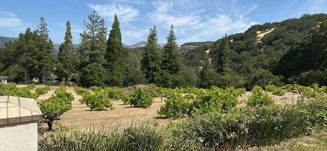 Building Photo - Hilltop Estate in Green Valley-Fully Furni...
