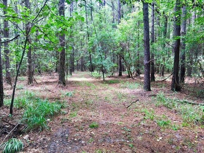 Building Photo - Country Living in Huger!